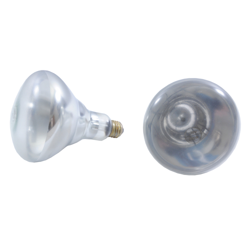 Thunder Group SEJ92001C Heat Lamp Bulb, 250-watt